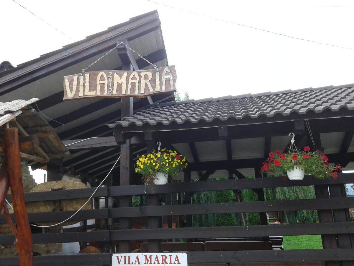 Vila Maria Sasciori Sebes Hotell Eksteriør bilde